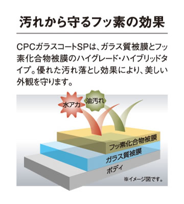 汚れから守るフッ素の効果