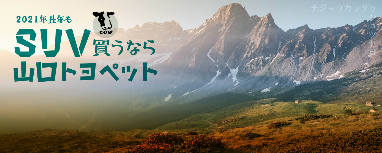 SUV買うなら山口トヨペット
