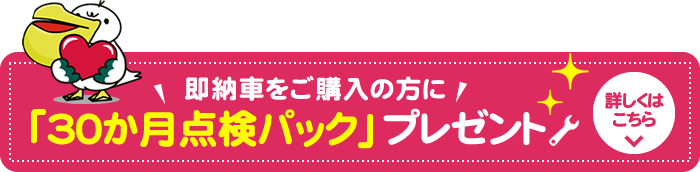 即納車をご購入の方に「30か月点検パック」プレゼント！