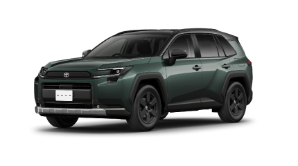 ブラック〈202〉×プレシャスメタル〈1L5〉［2WC］