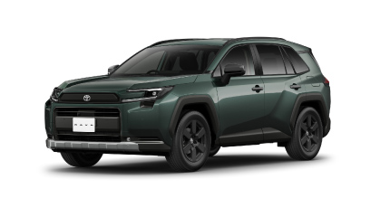 アティチュードブラックマイカ〈218〉