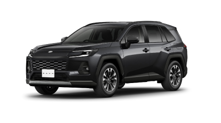 アティチュードブラックマイカ〈218〉